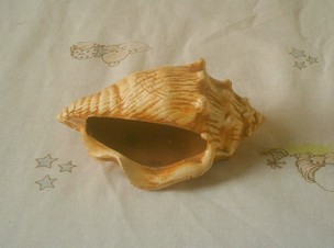 Enfite Envelhecido - Decoração de Aquário.