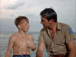 Seriado Flipper, O Golfinho  1964 - 3 Dvds  - 10 Episódios - Dublado.